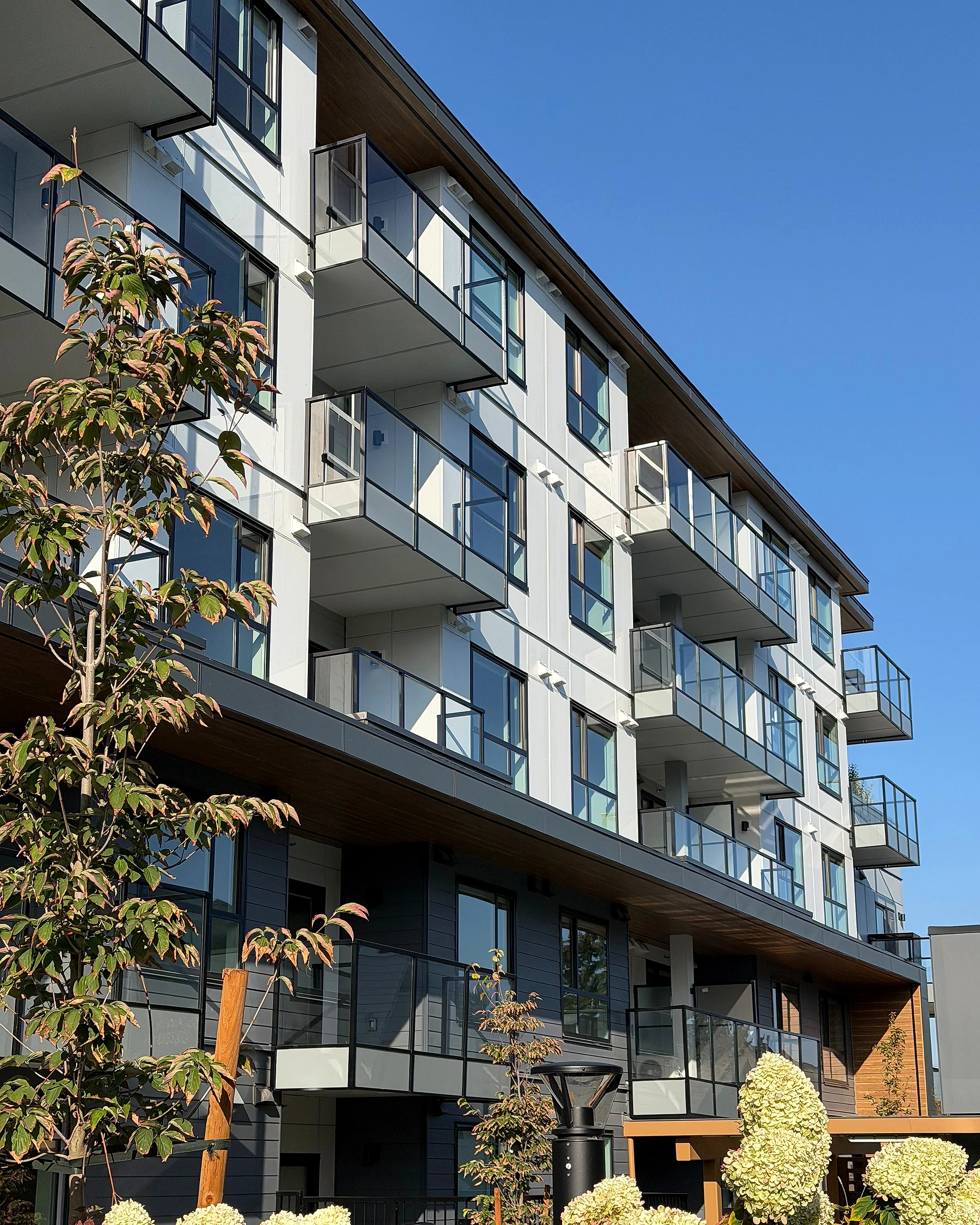 Four-storey mid-rise elevation with grey lap siding, white panel and glass balconies, South Surrey BC
