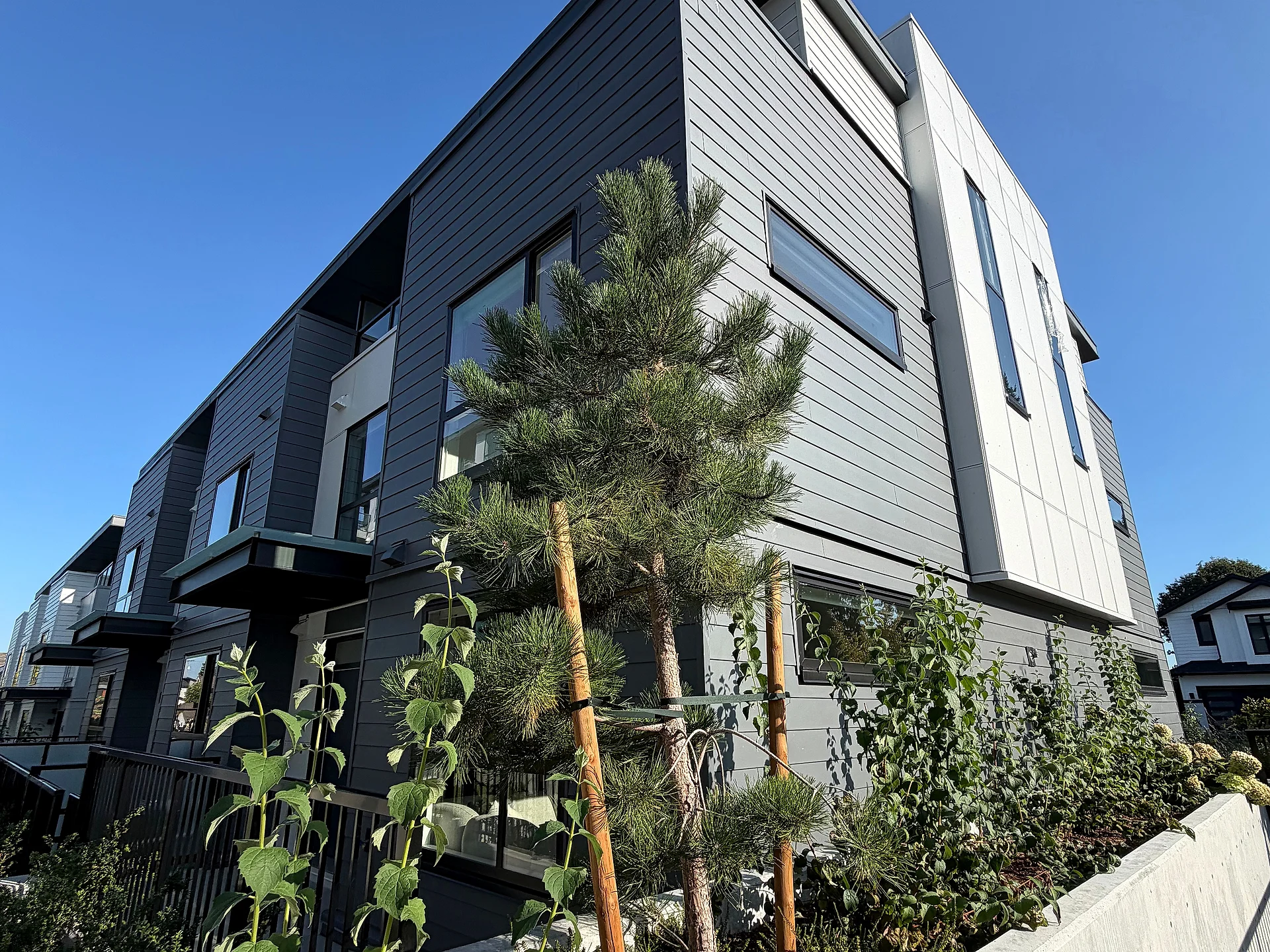 Townhouse corner in grey lap and white panel siding, South Surrey BC