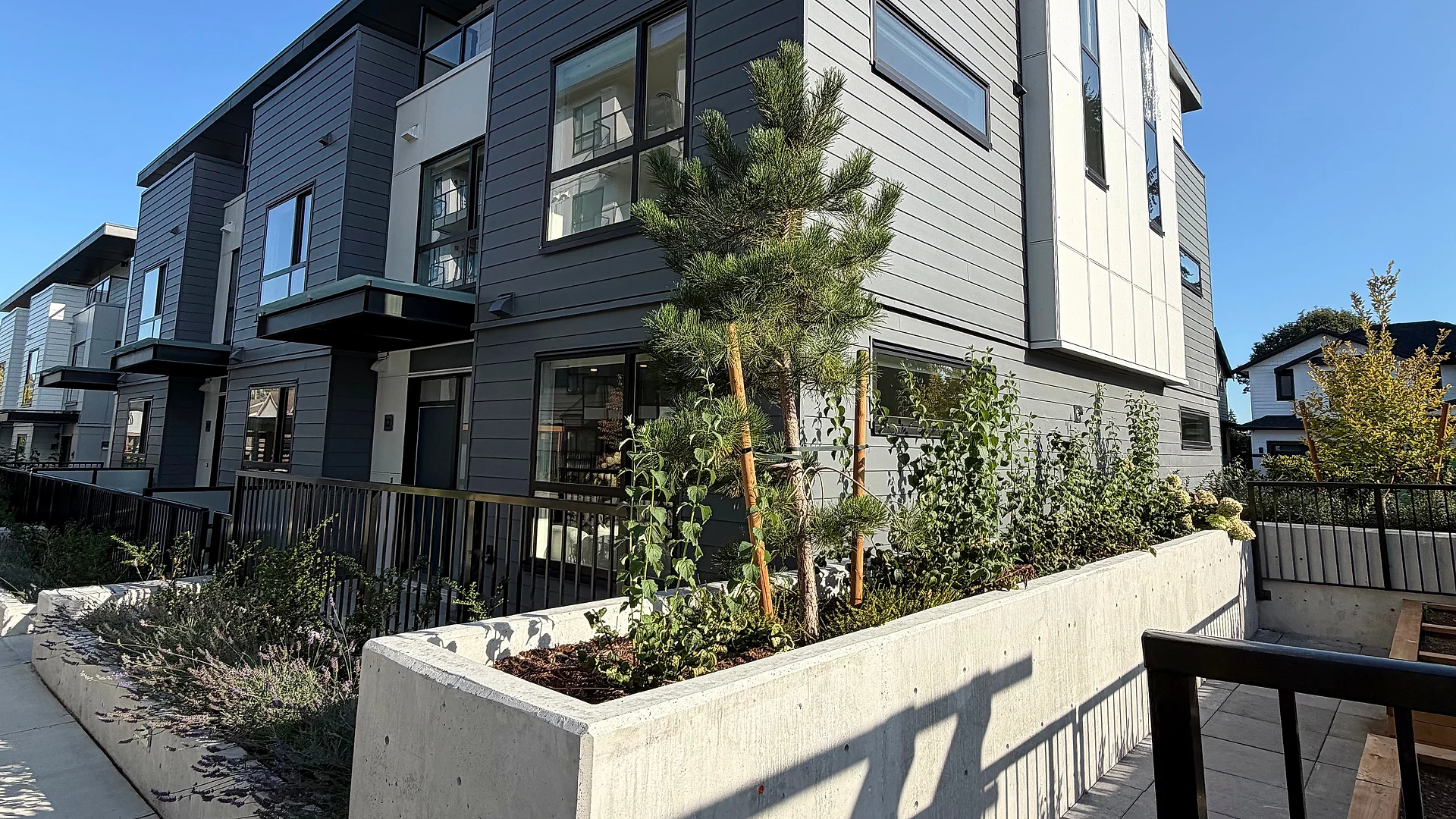 Townhouse row with grey lap siding, white panel and cantilevered entry canopies, South Surrey BC
