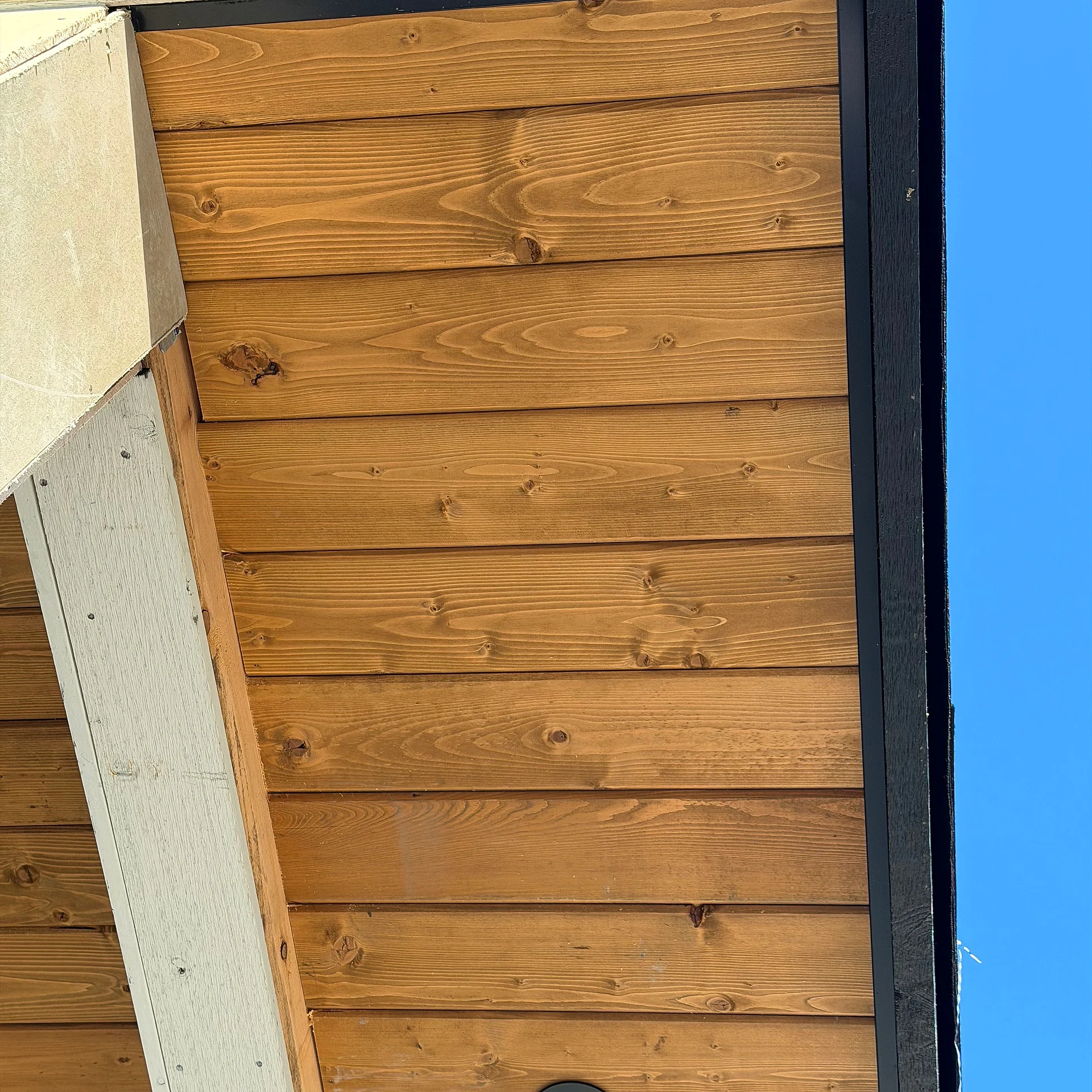 Clear cedar soffit grain with a recessed pot light, close-up, Langley BC