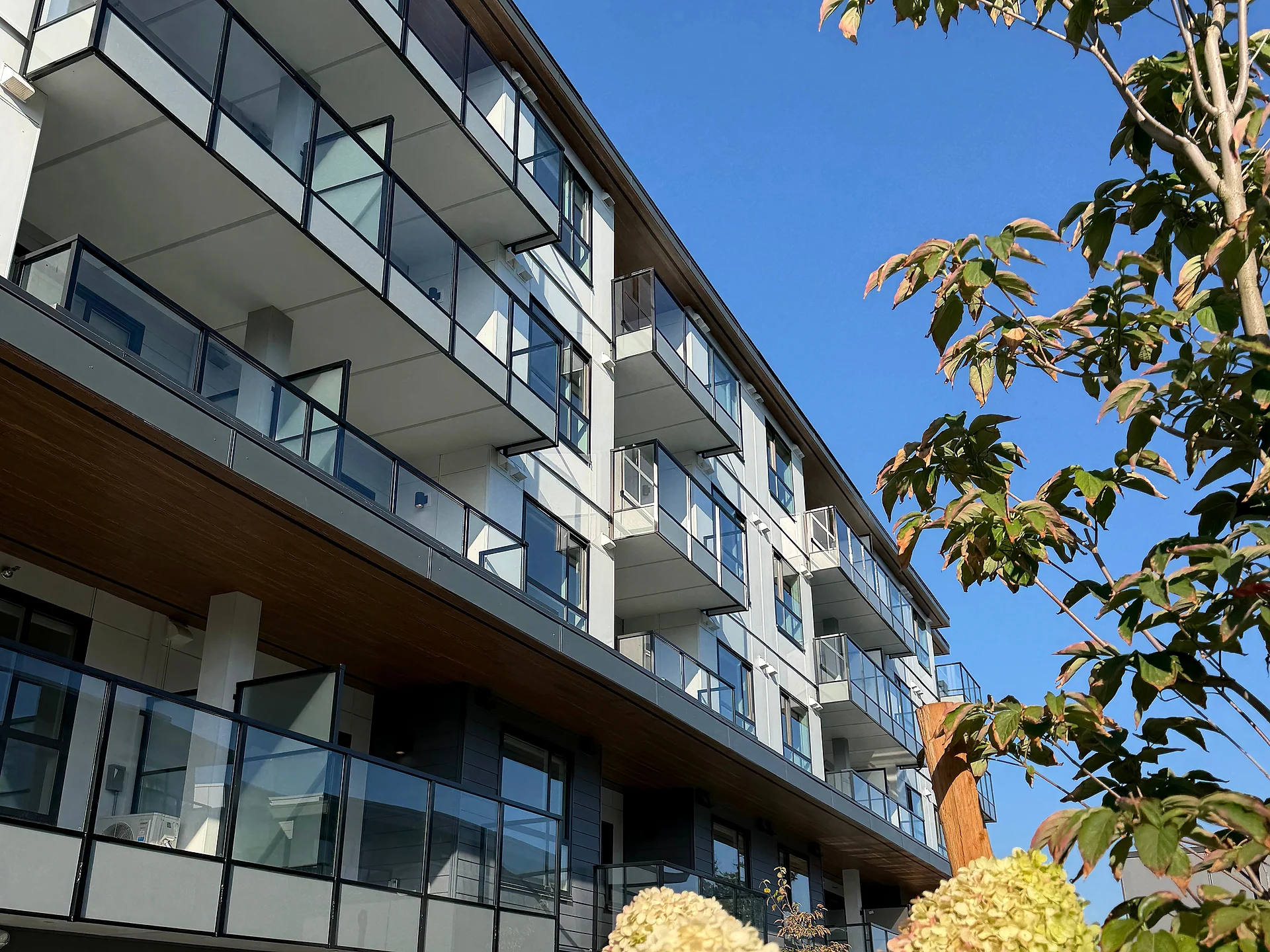 Long mid-rise facade with grey lap siding, white panel and glass balconies receding behind a tree, South Surrey BC