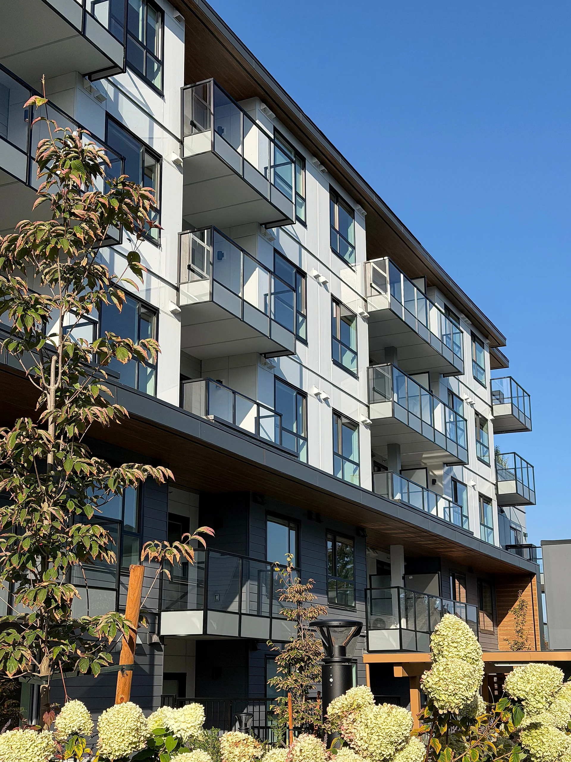 Four-storey mid-rise elevation with grey lap siding, white panel and glass balconies, South Surrey BC