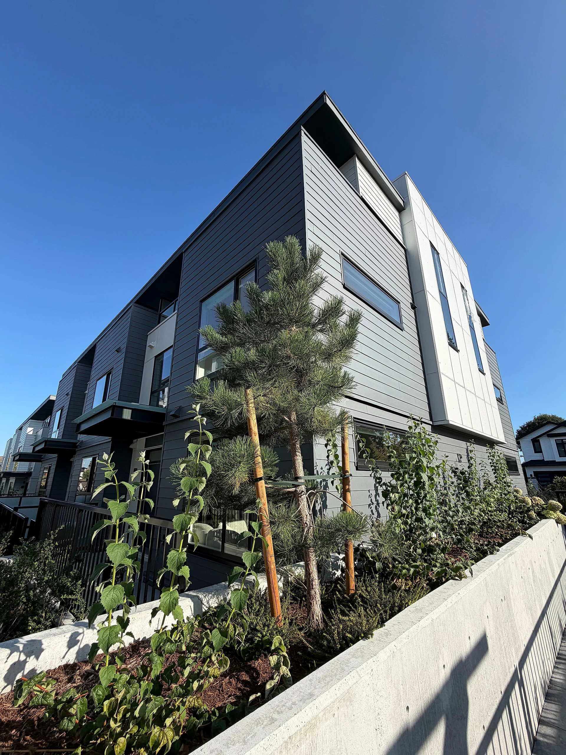 Townhouse corner in grey lap and white panel siding beside a pine, South Surrey BC