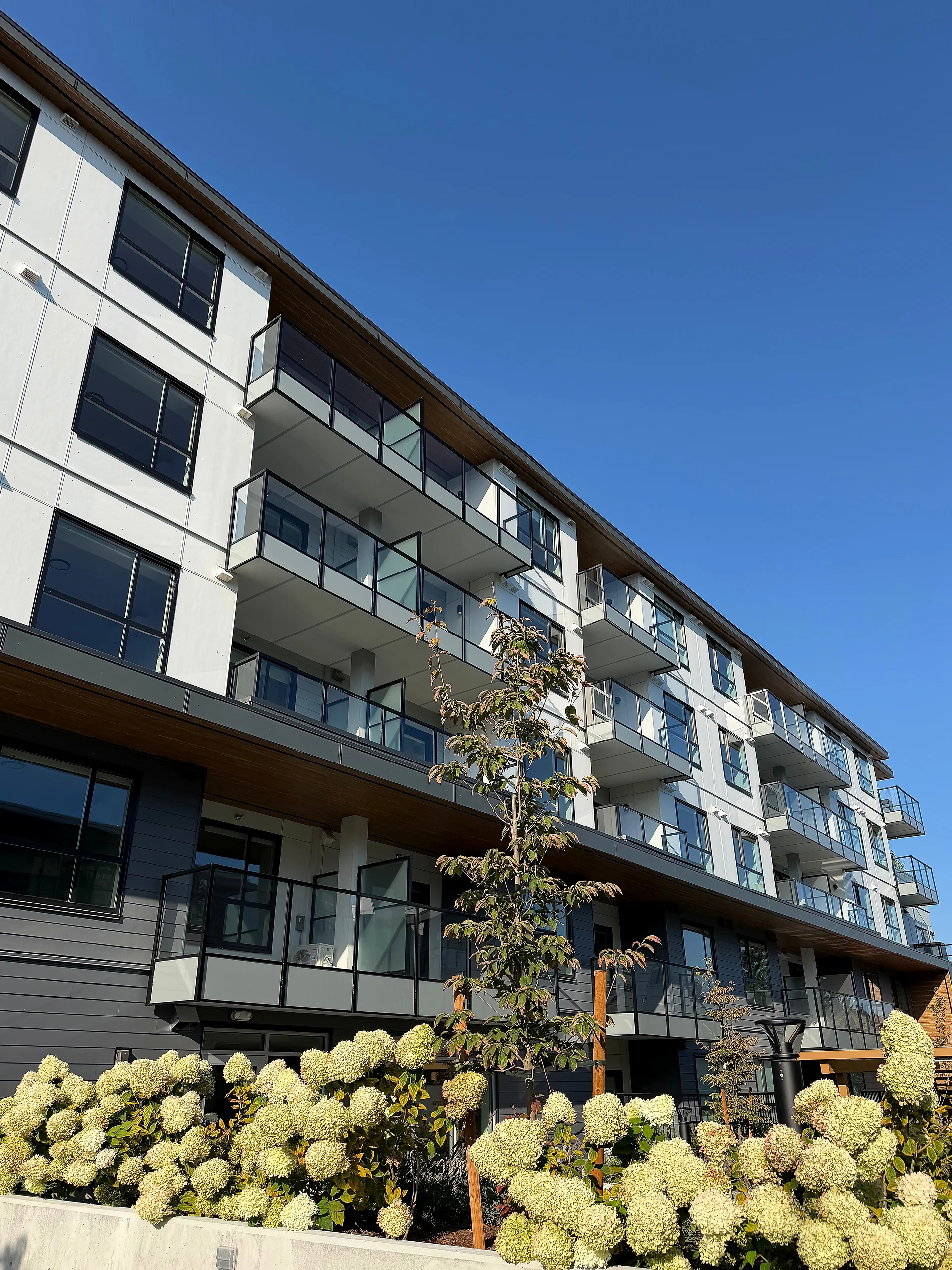 Four-storey mid-rise with grey lap siding, white panel and wood-tone soffit band, South Surrey BC